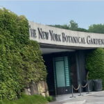jardin botanique New York